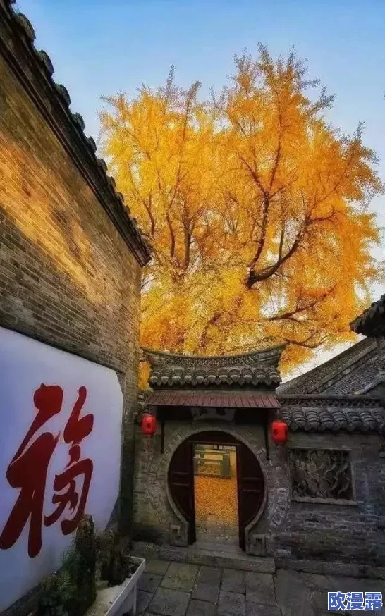怡红院怡春院,真是一个充满历史韵味的地方,让人感受到古代文化的魅力 怡红院怡春院,真是一个充满历史韵味的地方,让人感受到古代文化的魅力