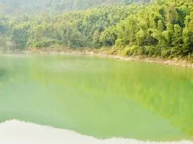 甘雨白水流淌了一地图,真是美得让人心醉,仿佛置身于仙境之中 甘雨白水流淌了一地图,真是美得让人心醉,仿佛置身于仙境之中