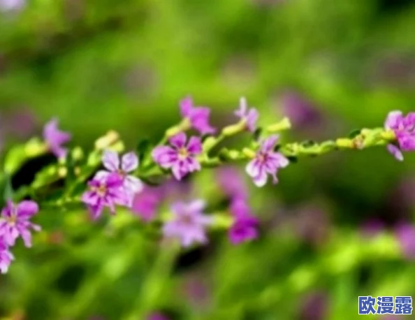 久久性生活片：最新动态揭示了人们对健康性生活的关注与追求，促进了相关产业的发展与创新