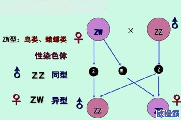 性无码专区无码:最新研究揭示性别认同与社会文化影响的深层关系,挑战传统观念引发广泛讨论 性无码专区无码:最新研究揭示性别认同与社会文化影响的深层关系,挑战传统观念引发广泛讨论