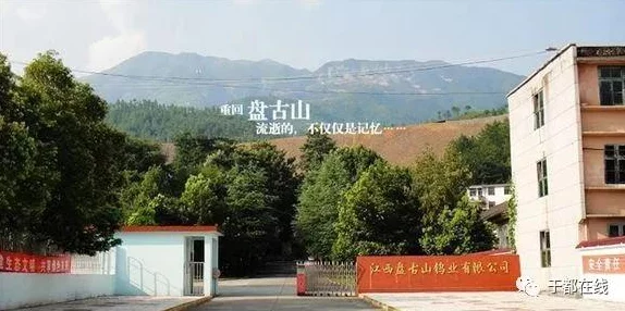 众神风云手游攻略：超级暴力推图阵容搭配指南，解锁高效通关秘籍