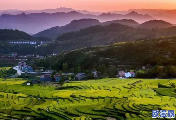 美国的黄色片，虽然存在争议，但也反映了社会文化的一部分，值得深思
