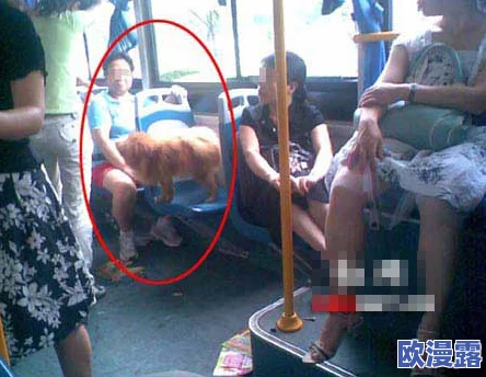 公交车上猛男的粗长勃起h,这种场景真是让人感到尴尬又好奇,大家怎么看? 公交车上猛男的粗长勃起h,这种场景真是让人感到尴尬又好奇,大家怎么看?