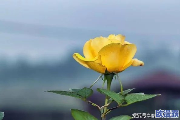 亚洲二三区：这个地区的文化多样性和经济潜力真是令人惊叹，值得深入了解