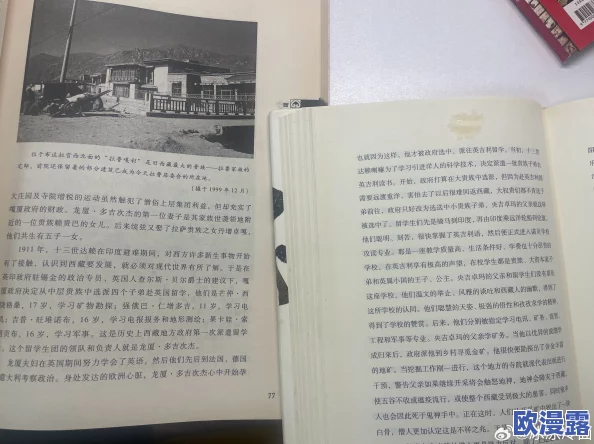 长篇yi∩荡乱岳合集小说txt让我们在阅读中感受生活的多样性与美好，激发内心的勇气与希望，共同追求积极向上的人生