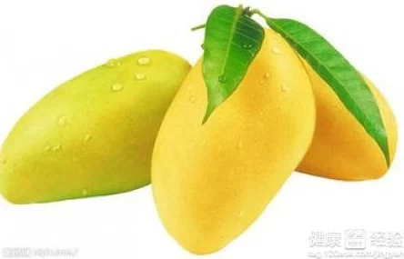 孕妇能吃芒果吗孕期适量食用芒果有助于补充营养但需注意过敏和糖分摄入问题 孕妇能吃芒果吗孕期适量食用芒果有助于补充营养但需注意过敏和糖分摄入问题
