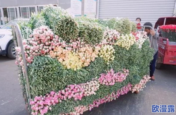 探索仙境传说RO手游:揭秘玩家为何嘴里咬着玫瑰花的独特风情 探索仙境传说RO手游:揭秘玩家为何嘴里咬着玫瑰花的独特风情