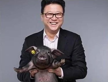 养猪大亨怎么玩_养猪大亨玩法介绍