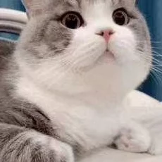 七猫小说怎么改名-改名方法介绍